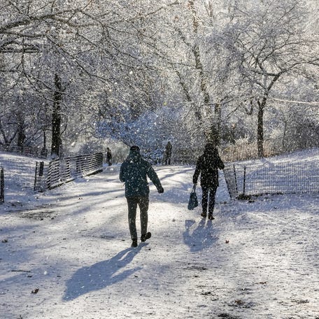 People walk around Central Park as snow falls from the tress after a snowfall in New York City, U.S.