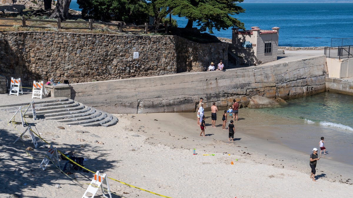 A group of people stand near a sea lion that kept swimming to shore at the Lovers Point Beach in Pacific Grove, Calif, on Tuesday, May 26, 2020.