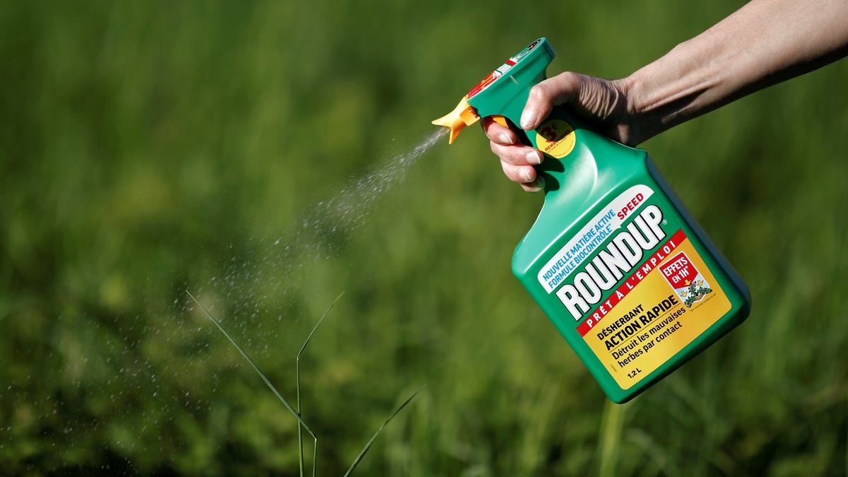 A woman uses a Monsanto's Roundup weedkiller spray without glyphosate in a garden in Ercuis near Paris, France, May 6, 2018.