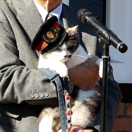 Yontama is a new cat stationmaster at Wakayama Electric Railway's Kishi Station in Japan.