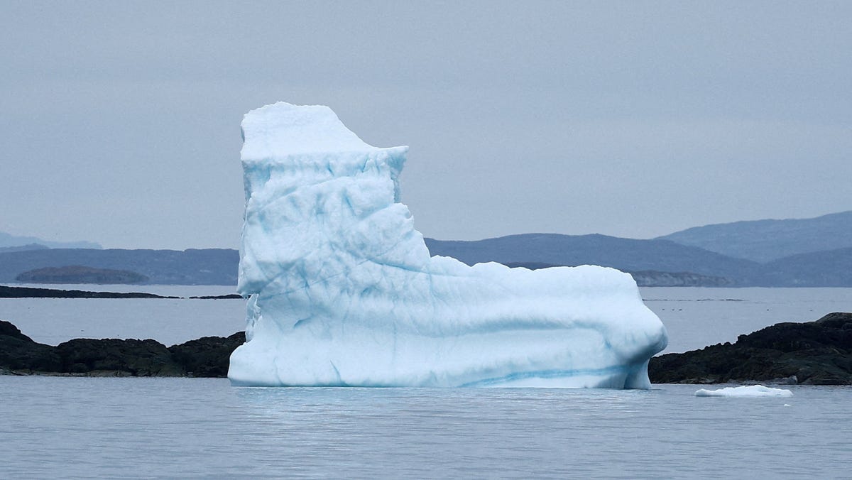 Usa Trump Greenland Price