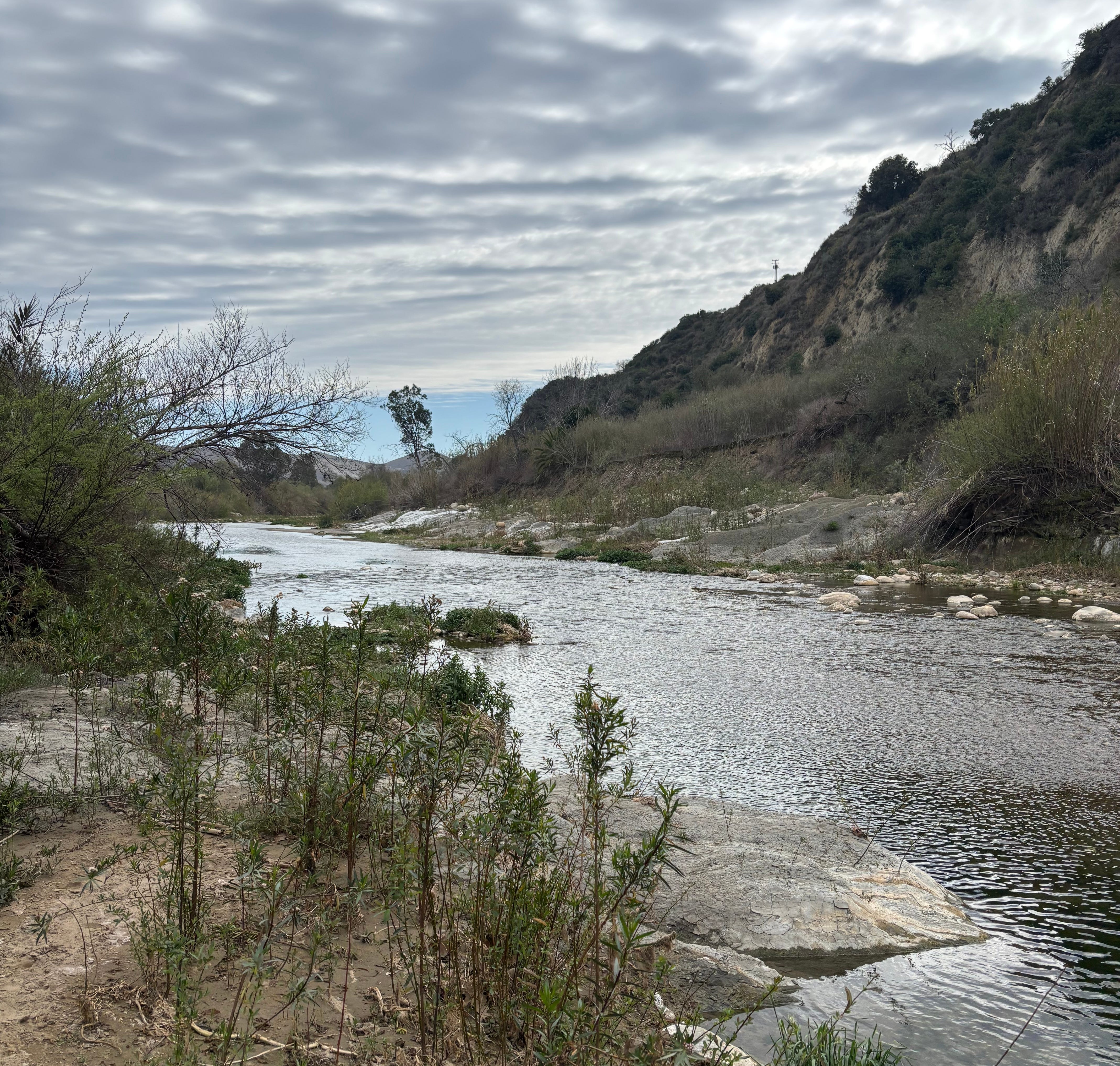 Local nonprofit acquires old Petrochem site near Ventura