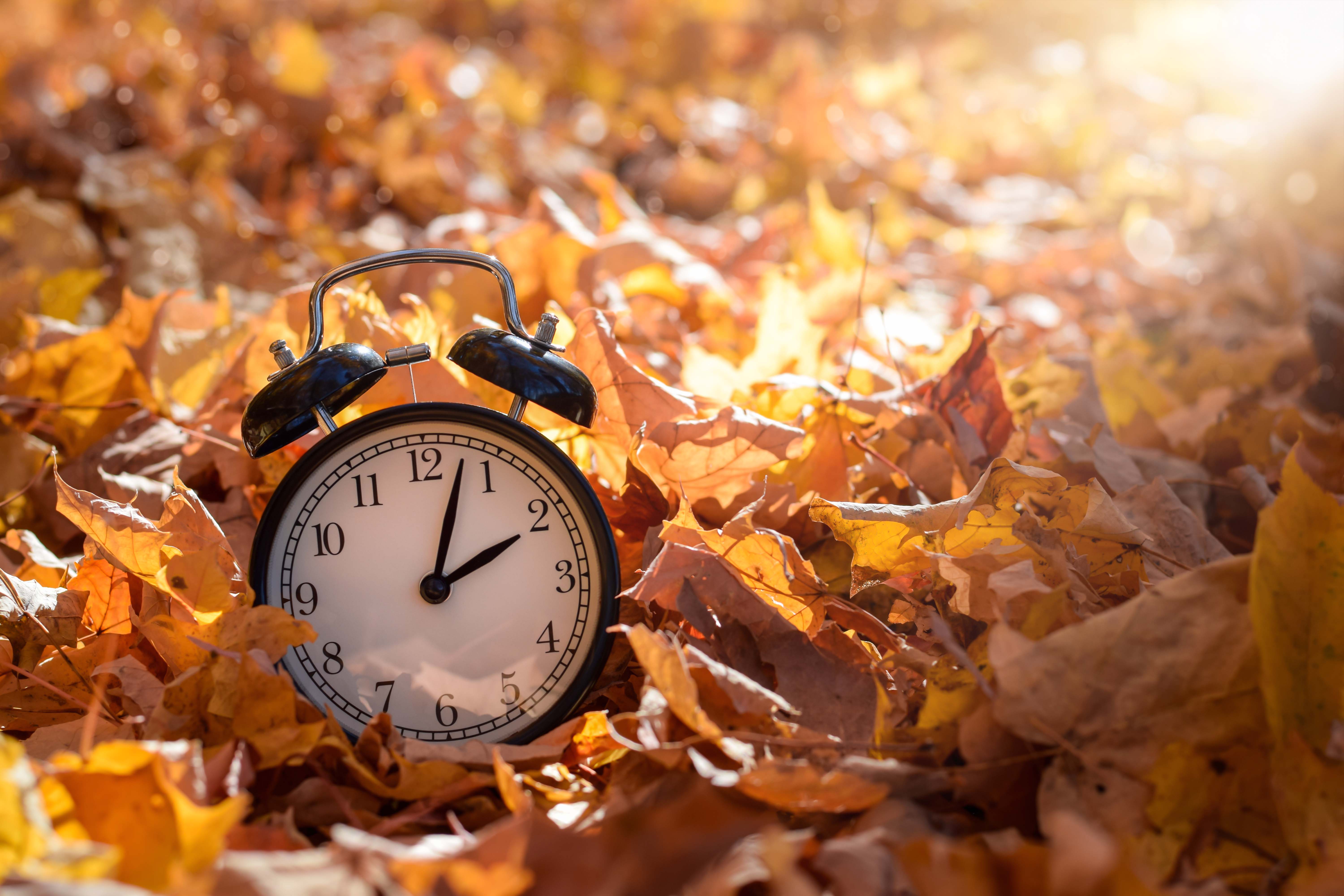 Image related to Get your clocks ready, here is everything you need to know about daylight saving