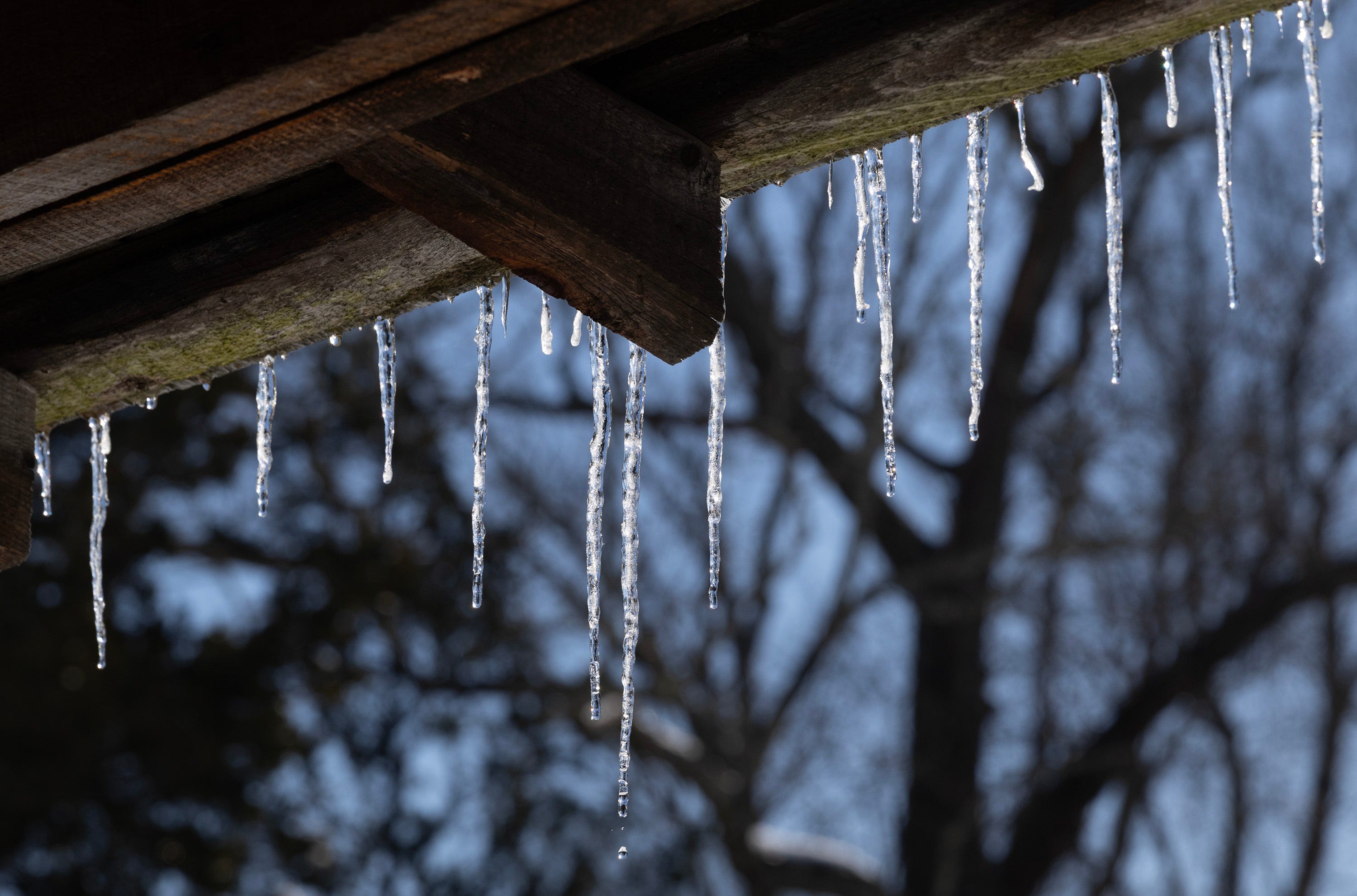 Image related to Dangerous Arctic front grips Jersey Shore with subzero wind chills