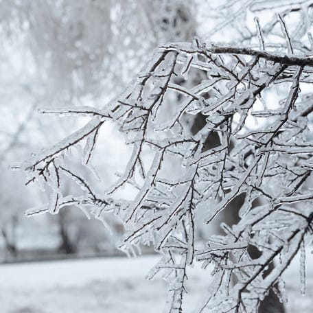 As of Jan. 29, 2026, at least 81 deaths have been reported that are thought to be related to the winter storm or successive freezing temperatures, according to research by USA TODAY and the USA TODAY Network.