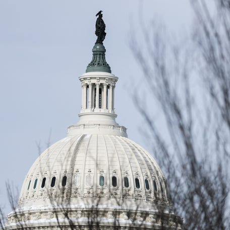 The dome of the U.S. Capitol building is framed behind a tree in Washington, D.C., U.S., January 27, 2026.