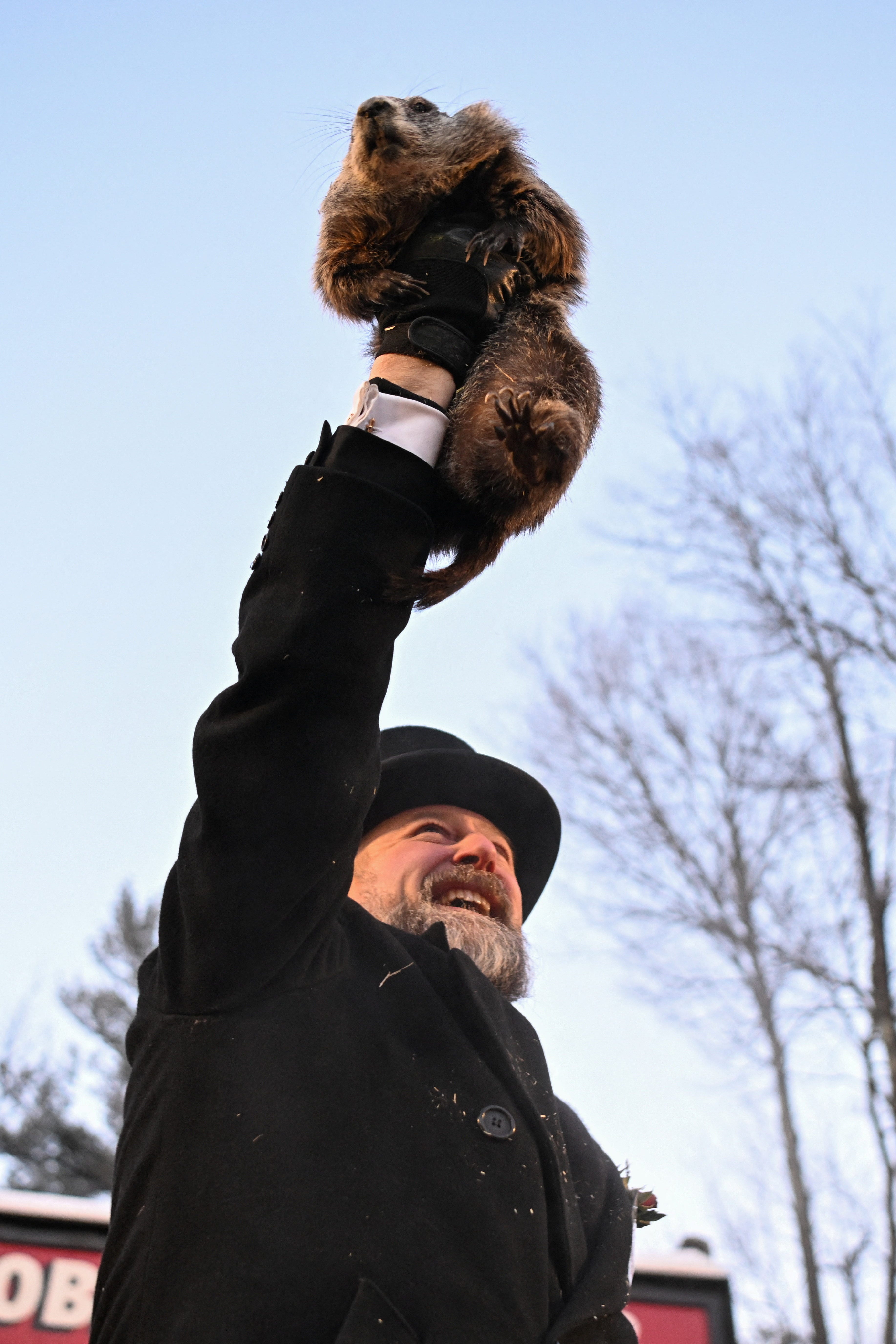It's been a cold, snowy winter. People are blaming a groundhog.