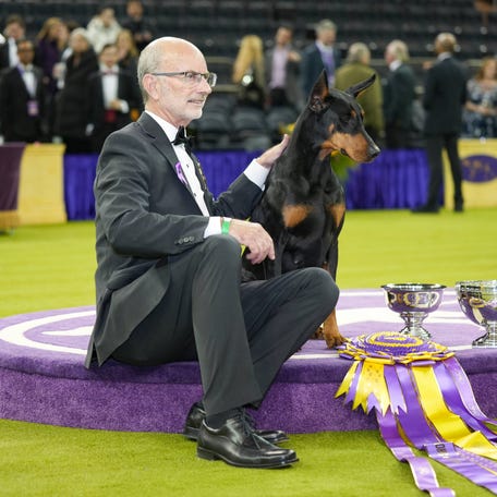 Trainer Andy Linton poses with Penny, a Doberman Pinscher, after winning Best in Show at the Westminster Kennel Club Dog Show Second Day at Madison Square Garden on Feb. 3, 2026.