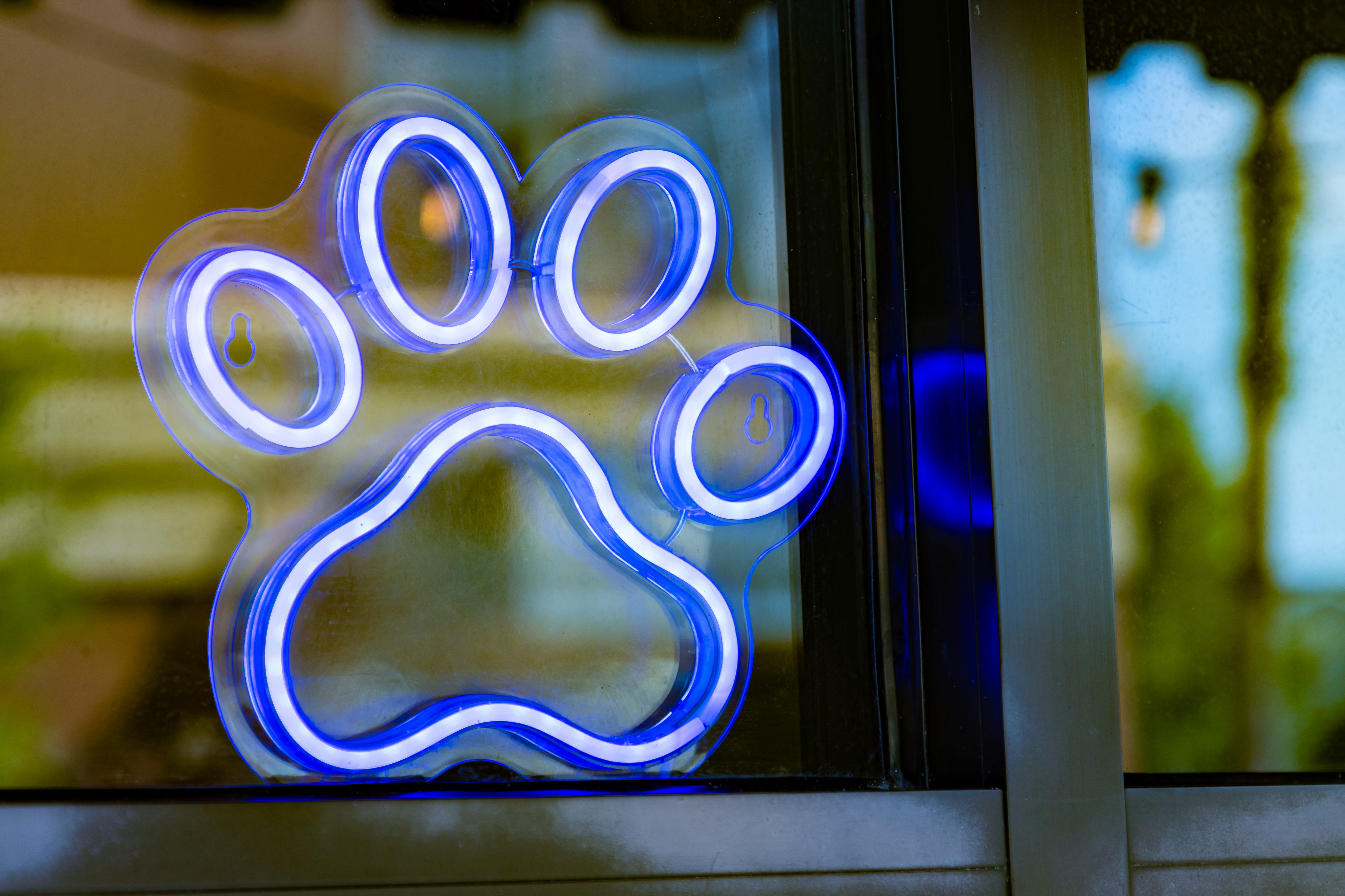 Pet-selling bans reduce access to safe, regulated sources