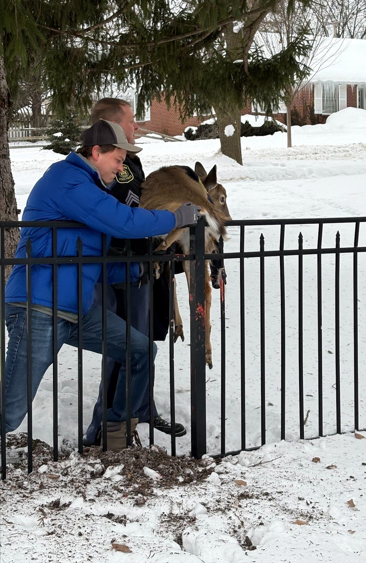 https://www.gannett-cdn.com/authoring/authoring-images/2026/02/10/PLSJ/88604184007-rescuing-deer.jpg?auto=webp&crop=1229,692,x0,y283&format=pjpg&width=1200