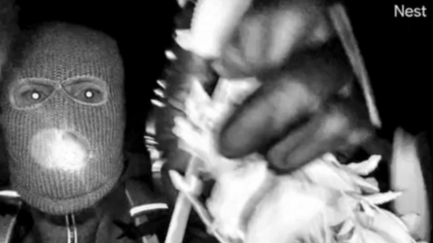 New images from a Nest camera show an armed individual appearing to have tampered with the camera at Nancy Guthrie's front door on the morning of her disappearance.