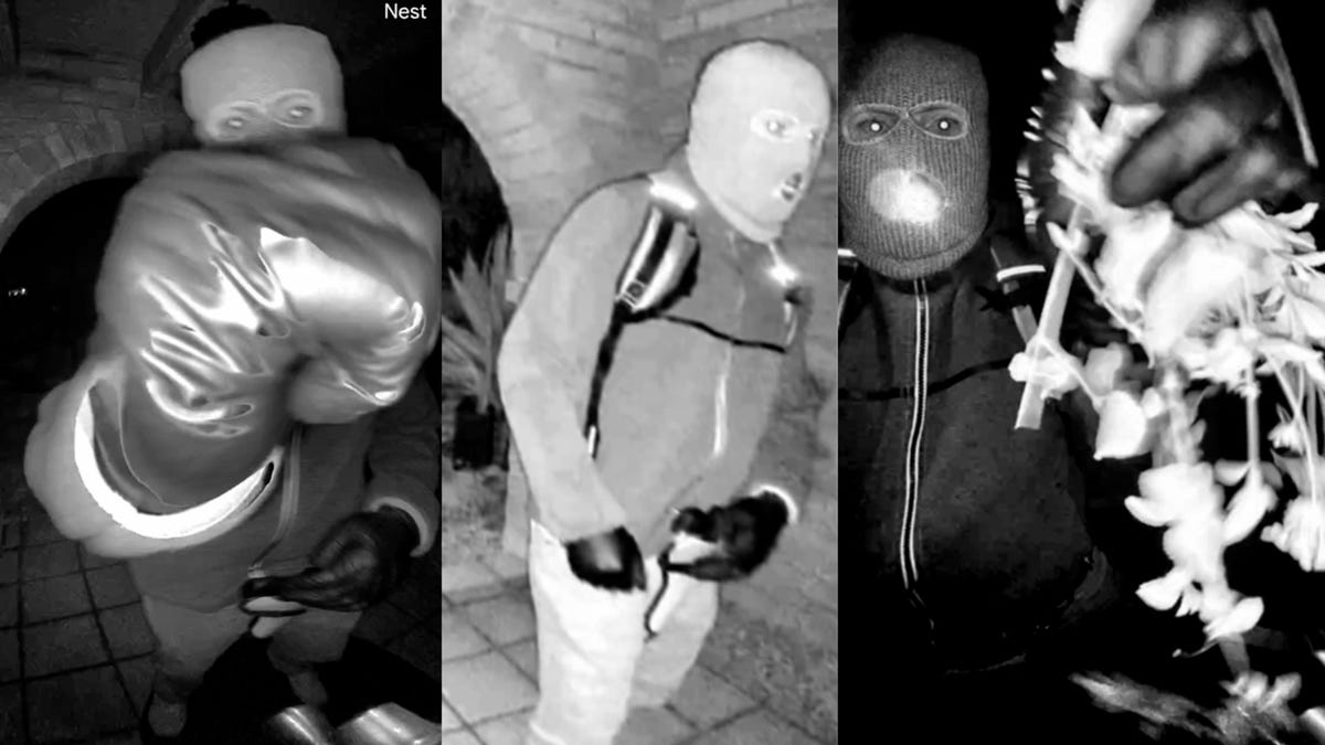 nancy guthrie fbi subject.jpg