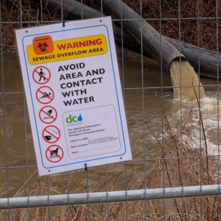 Pumps and pipes divert raw sewage into the C&O Canal and around a broken section of the Potomac Interceptor, a 6-foot-wide pipe that collapsed on Jan. 19, in between the Clara Barton Parkway and the canal on Feb. 16, 2026 in Cabin John, Maryland. More than 300 million gallons of raw sewage poured into the Potomac River after the underground pipeline collapsed on Jan. 19.