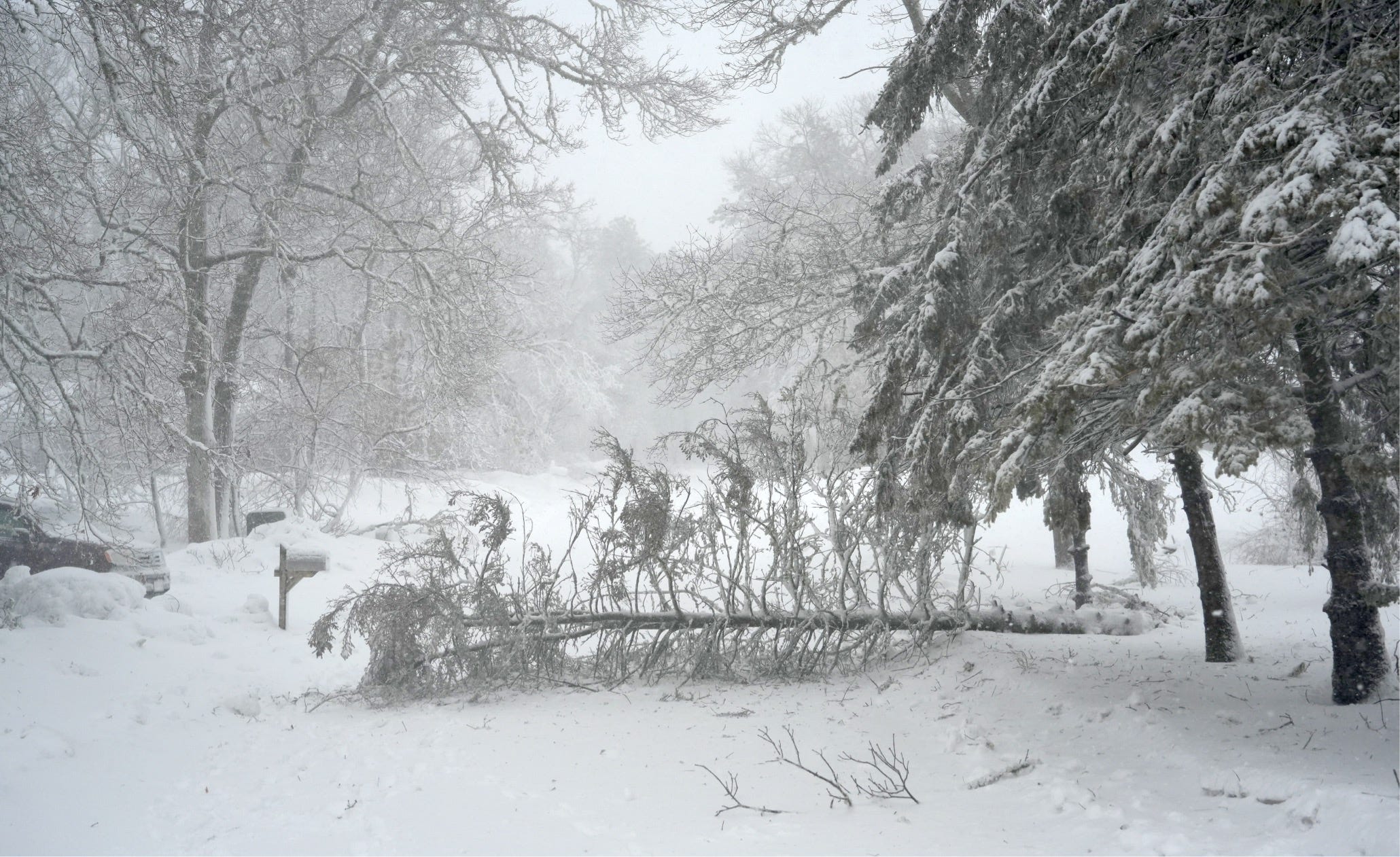Was your Cape Cod home or business damaged in the Blizzard of '26? MA wants to know.