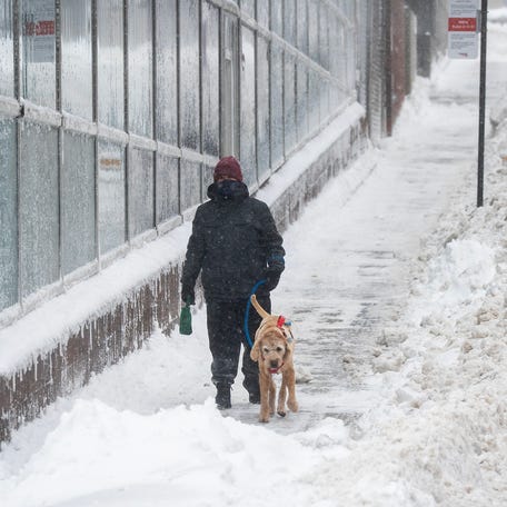 Angel Seiffert and Oliver walk near Pleasant and Main streets in downtown Worcester at midmorning, Monday, Feb. 23.
