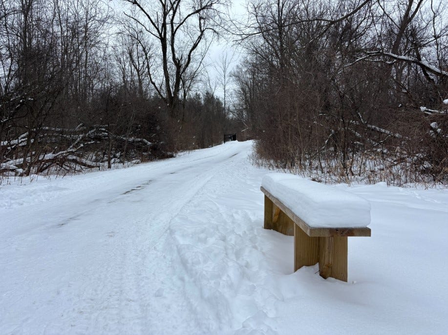 https://www.gannett-cdn.com/authoring/authoring-images/2026/02/23/PLSJ/88822038007-screenshot-snowy-bench.jpg?auto=webp&crop=916,516,x0,y85&format=pjpg&width=1200