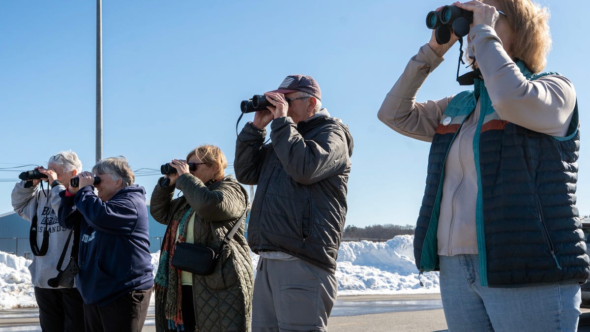 Bird watchers keep eyes on a lone chestnut-collared longspur in the parking lot of the Fitchburg Municipal Airport Feb. 27. Joan O’Regan of Hudson, Kristen Harris of Marlborough, Christine and Fran Fanning of Billerica, and Betty Gilman of Revere, left to right, all traveled to Fitchburg to spot the rare bird.