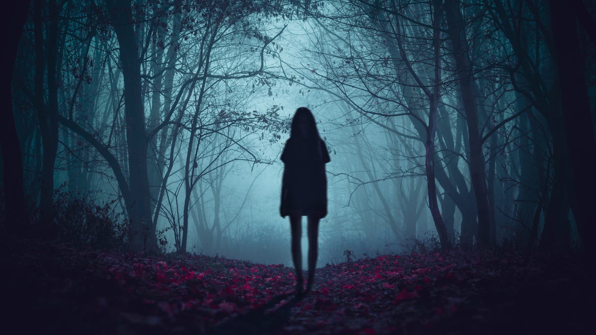 Ghost on the scary road in the paranormal world. Horrible dream. Strange forest in a fog. Mystical atmosphere. Dark wood. Mysterious road. Gothic witch. Background wallpaper. Gloomy times.