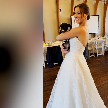 A couple in Landenberg, Pennsylvania incorporated adoptable rescue dogs into their wedding ceremony, using the event to fundraise for a local animal rescue shelter.