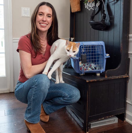 How to prepare your cat for a road trip.