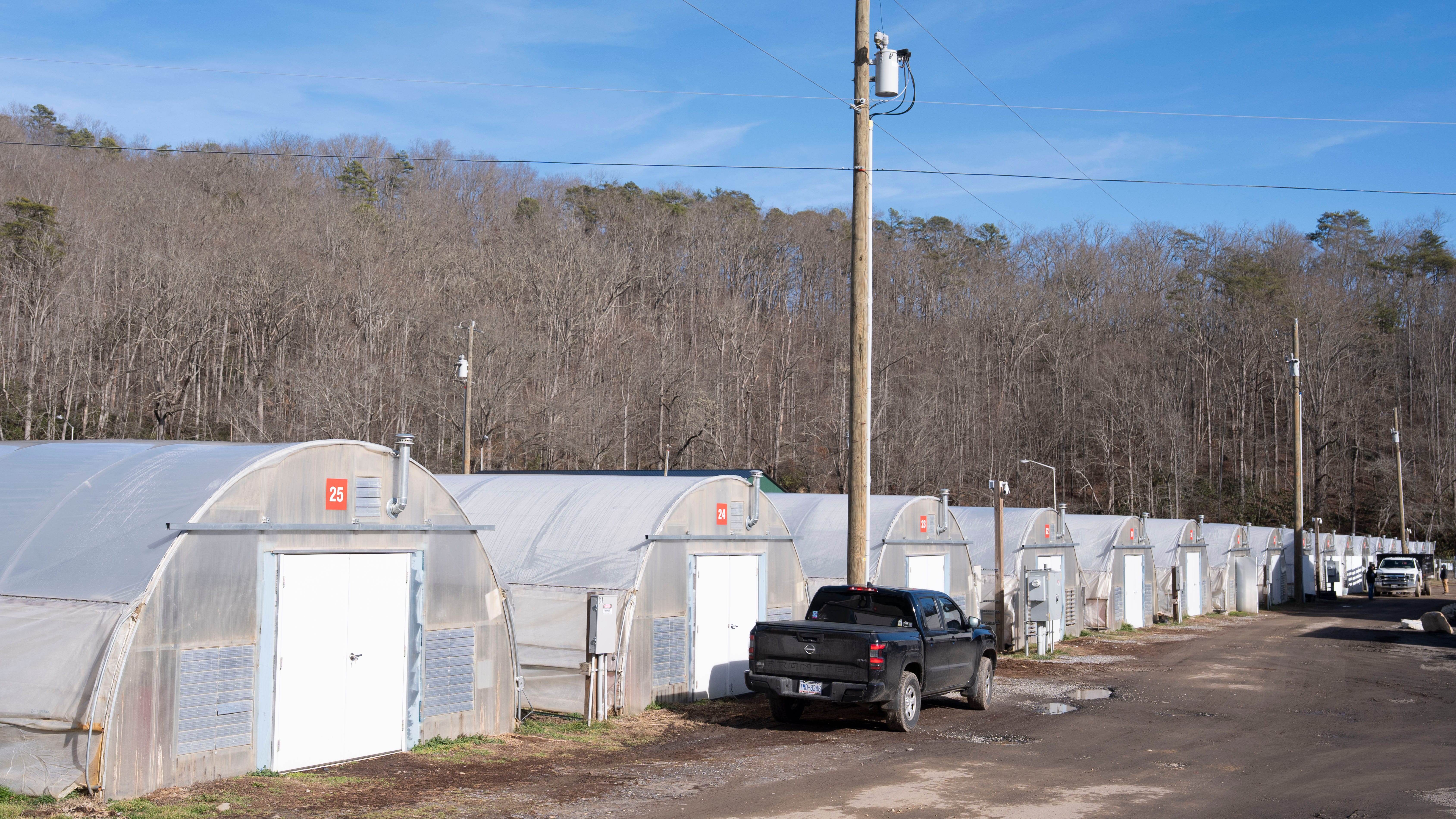 ¿Cuál es la nueva ley para el THC en Tennessee? Antes del 4/20, ve las reglas del cannabis