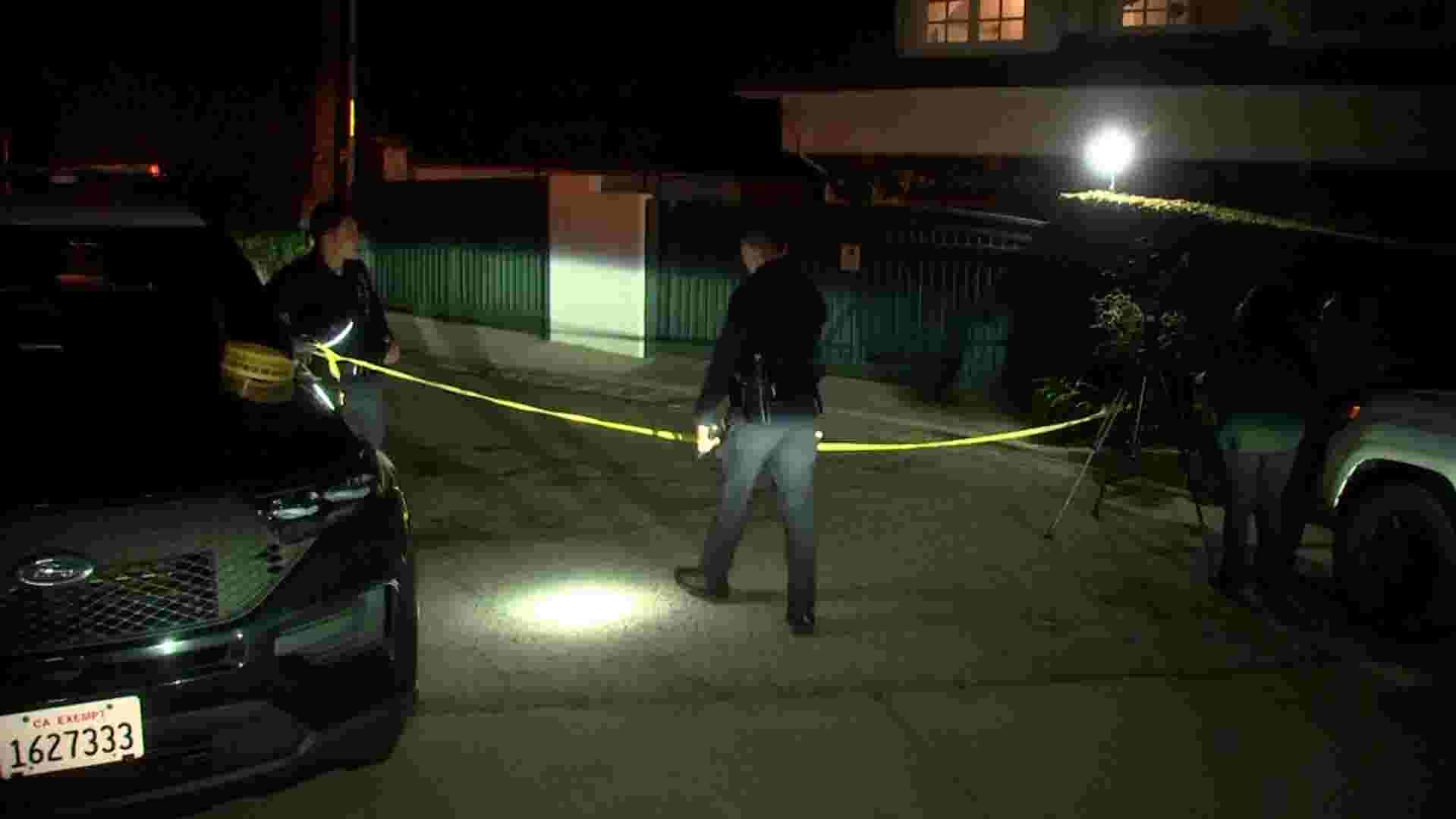 Police arrest woman after shooting at Rihanna's home