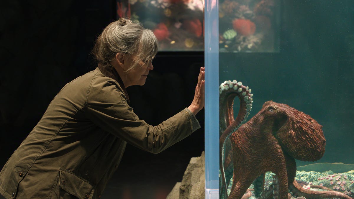 Netflix drops details on 'Remarkably Bright Creatures.' What to know.