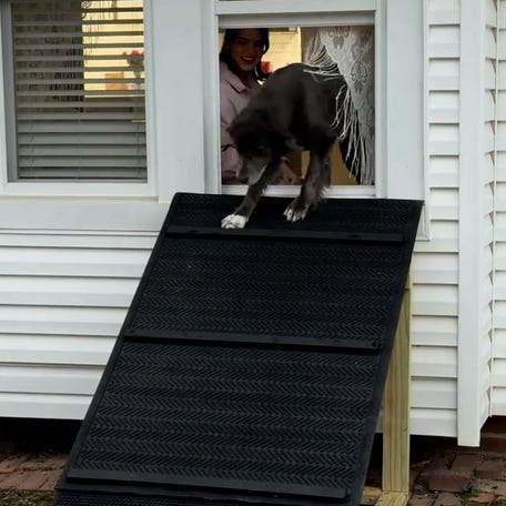 Carew Ellington noticed his dog had a unique way to go outside, so he decided to build her some support.