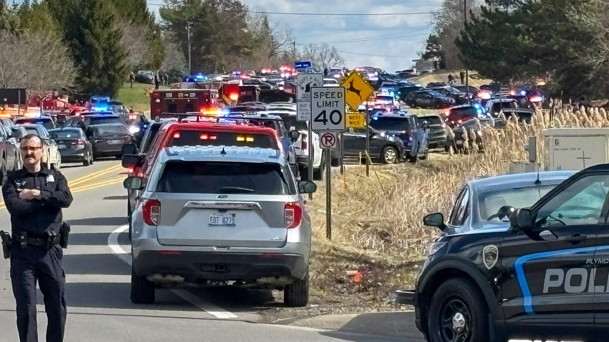 Michigan synagogue attacker's relatives killed in recent airstrike