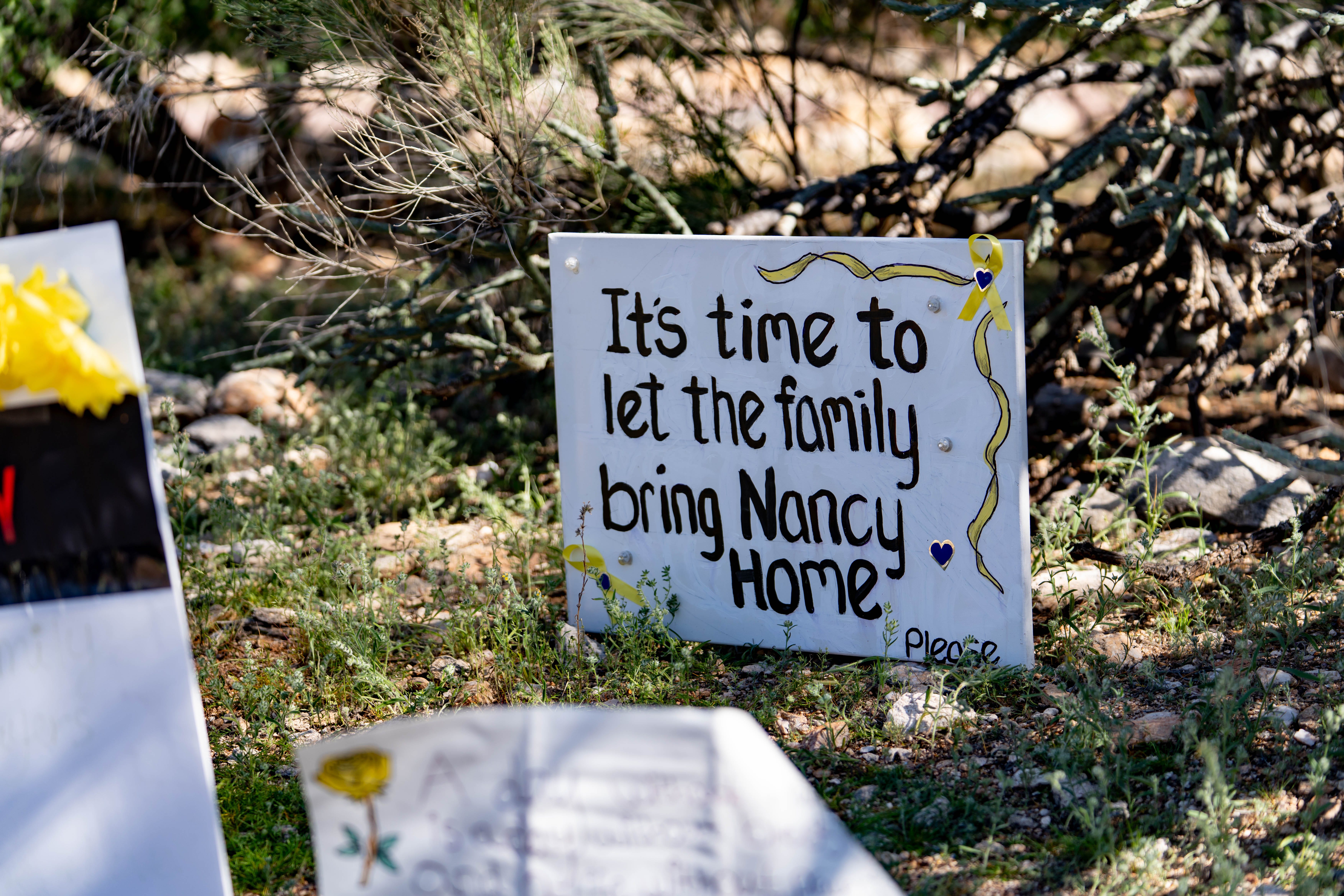 No detail too small as family searches for missing mom Nancy Guthrie