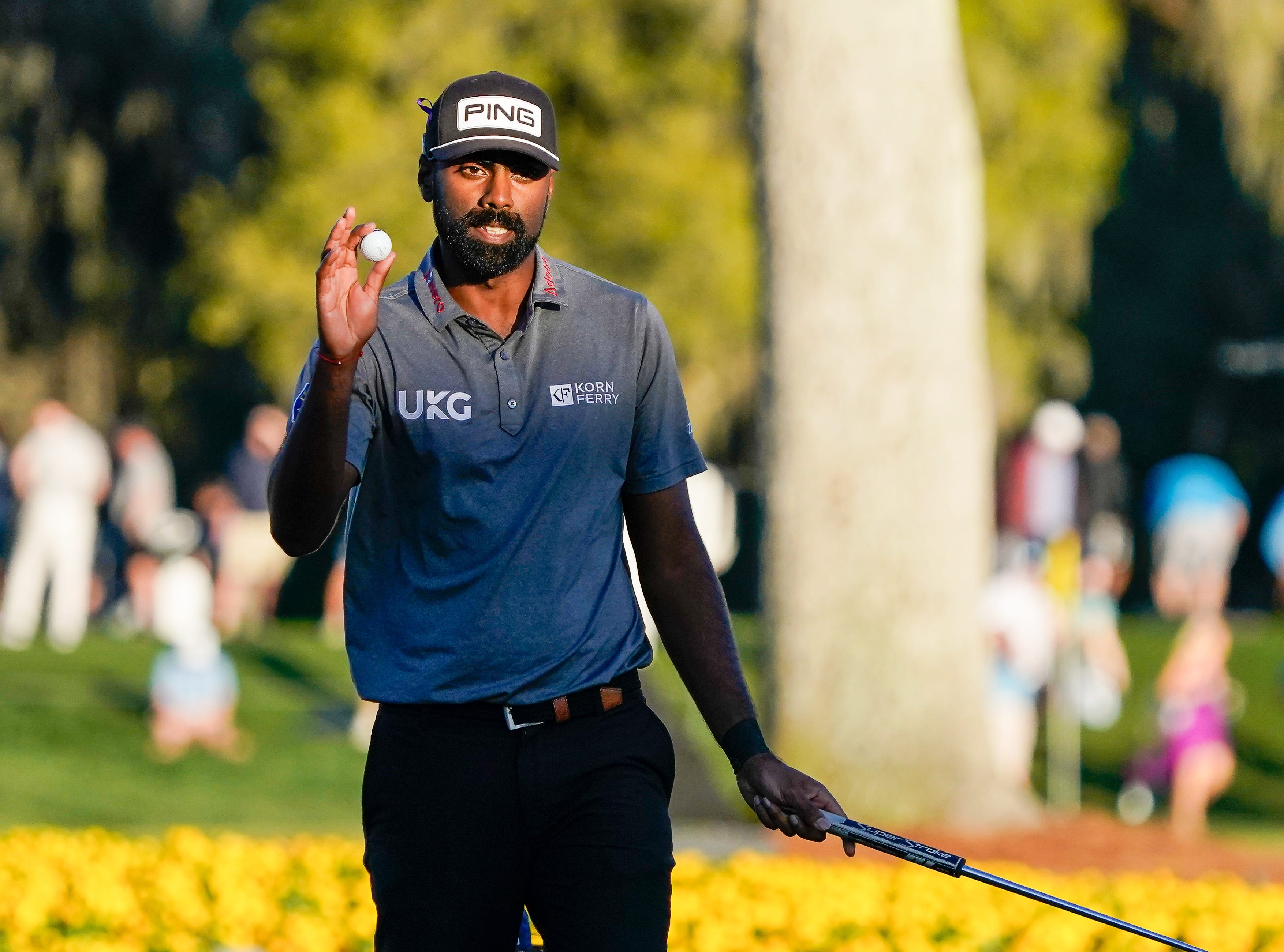 Golfers competing at TPC Sawgrass during the 2026 Players Championship