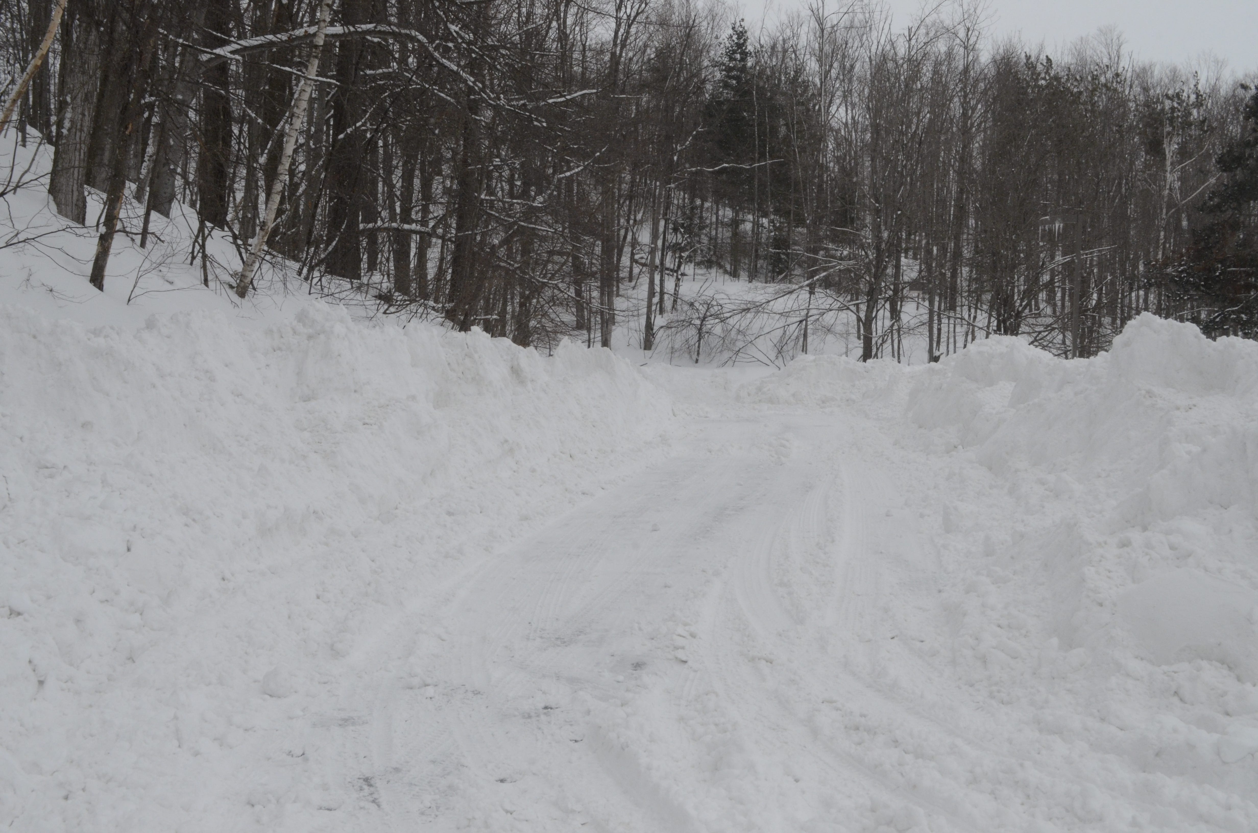 School districts are allowed up to six forgiven days, usually called snow days, each school year.