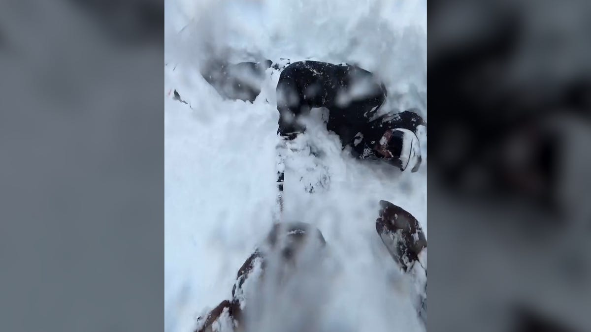 Watch skier being dug out of three feet of snow in Washington state