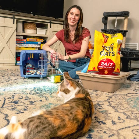 Tips for sheltering with your cat during severe weather.