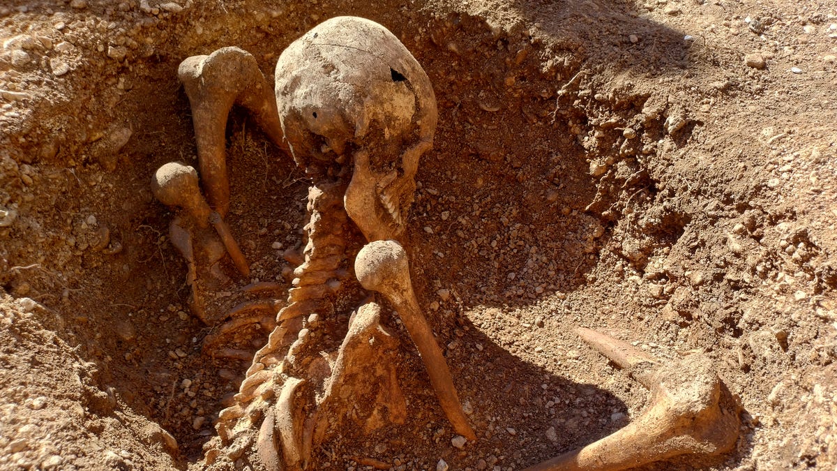 Ancient skeletons sitting upright found at French school. See photos.