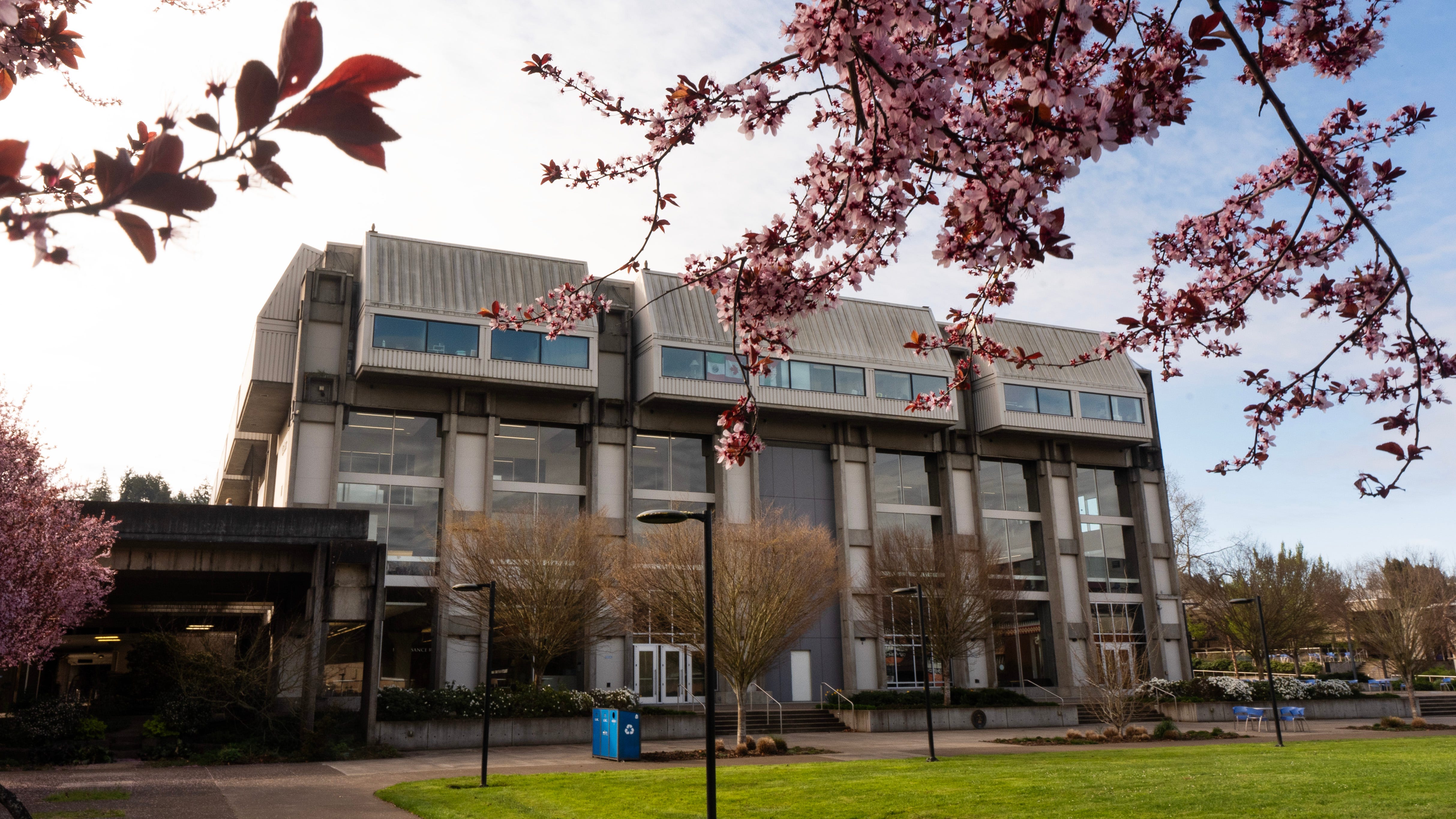 Lane Community College pide recortar 20.5 FTE y suspender programas.