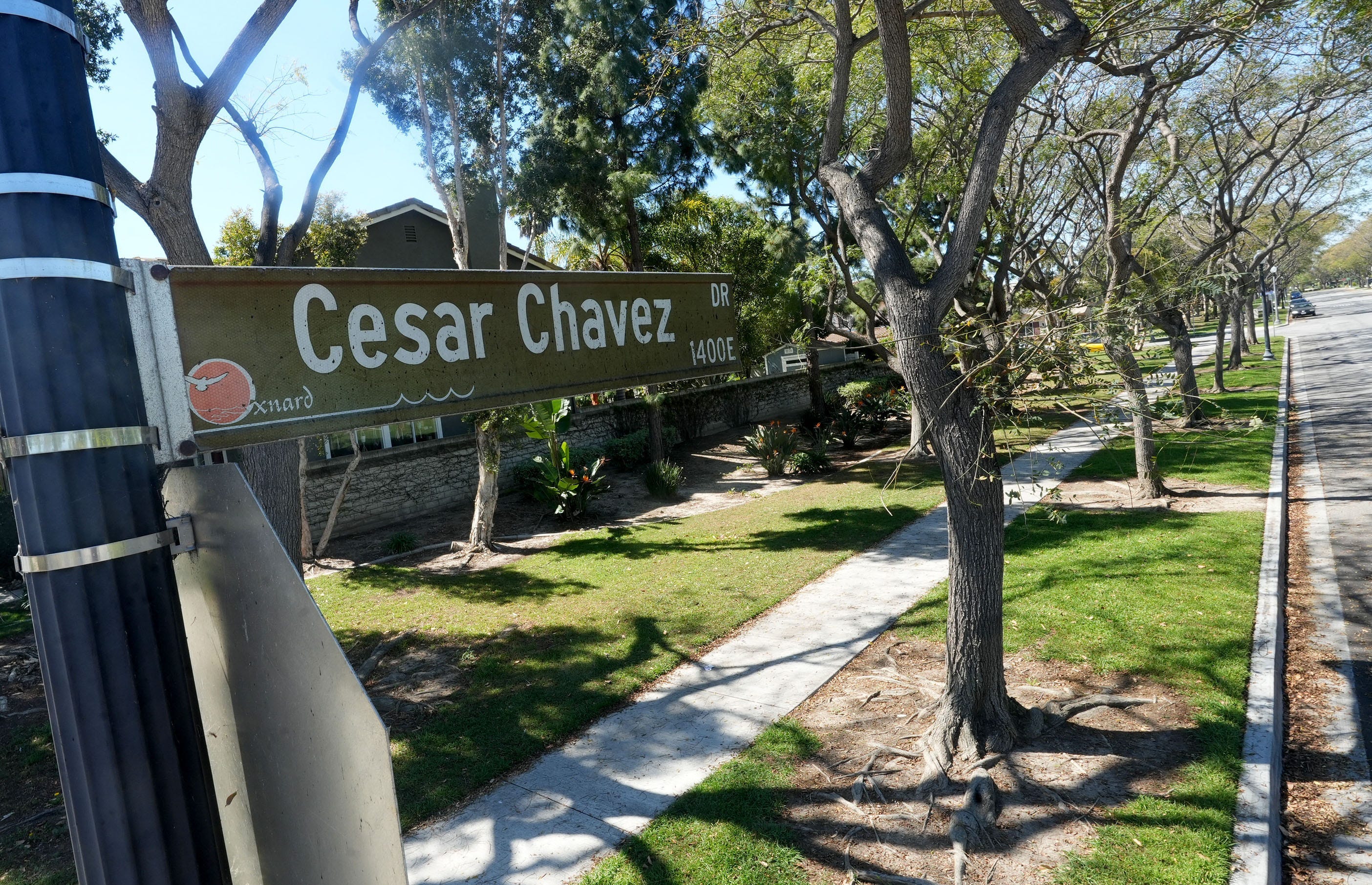 Georgia Latino group cancels contest amid Cesar Chavez accusations