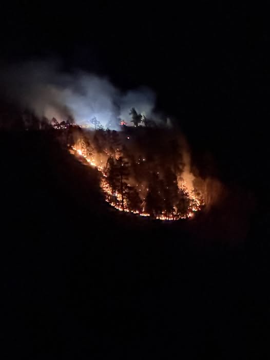 Rim Fire up north marks one of Arizona’s first fires of 2026