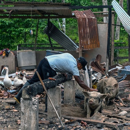 A farmer pets a pig standing amidst the rubble after a bomb was dropped by the Ecuadorian army in San Martin, Lago Agrio region, Sucumbios province, Ecuador, on the border with Colombia, on March 18, 2026. The United States said it took part in the joint operation.