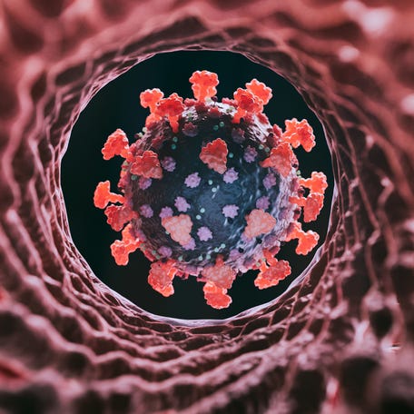 "Cicada" is a nickname given to BA.3.2, a highly mutated COVID-19 variant.