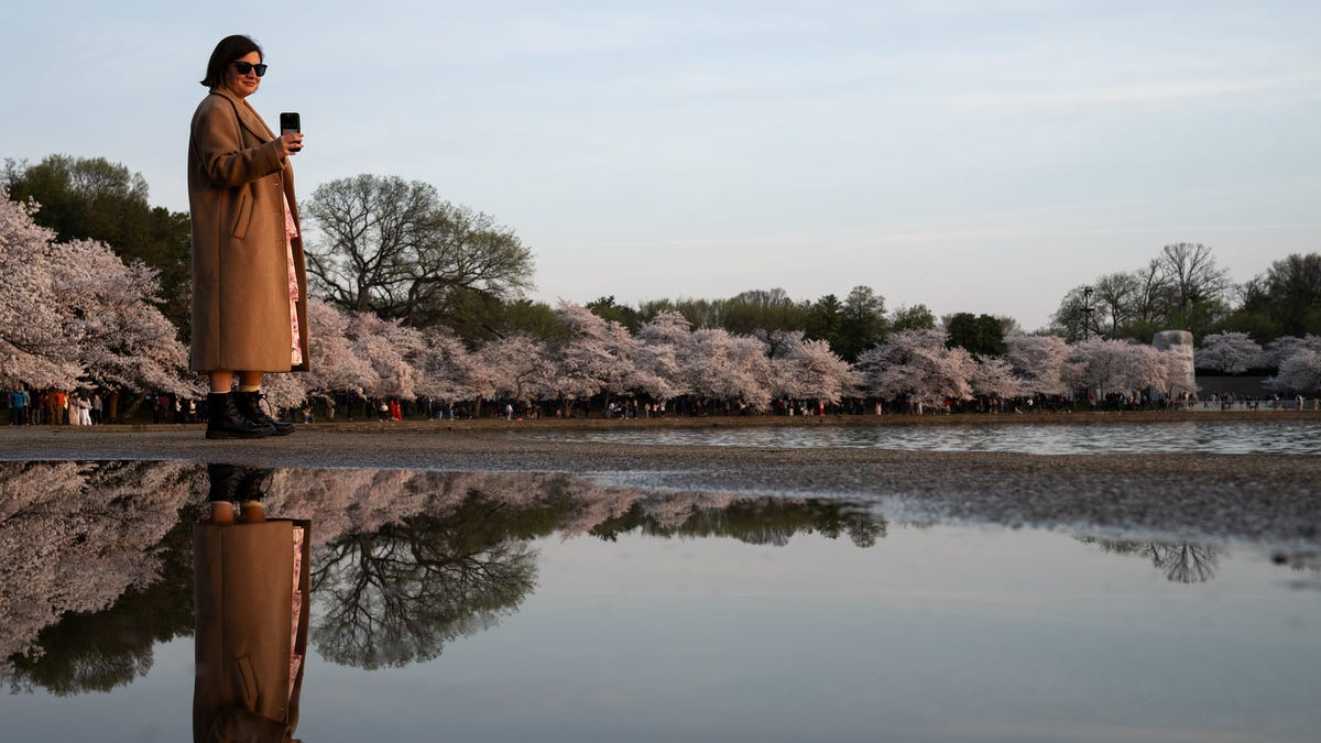 See scenic spring landscape photos to brighten your day from across the United States.