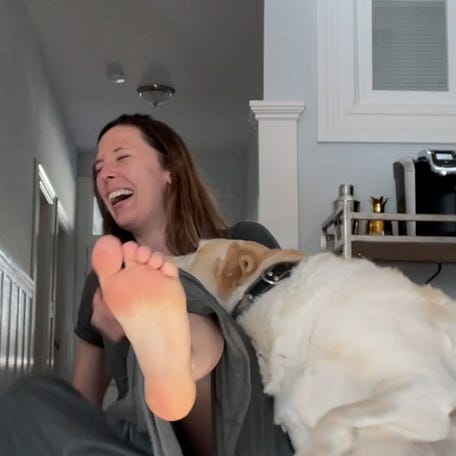 Funny April Fools' dog pranks that got the best reactions thumb