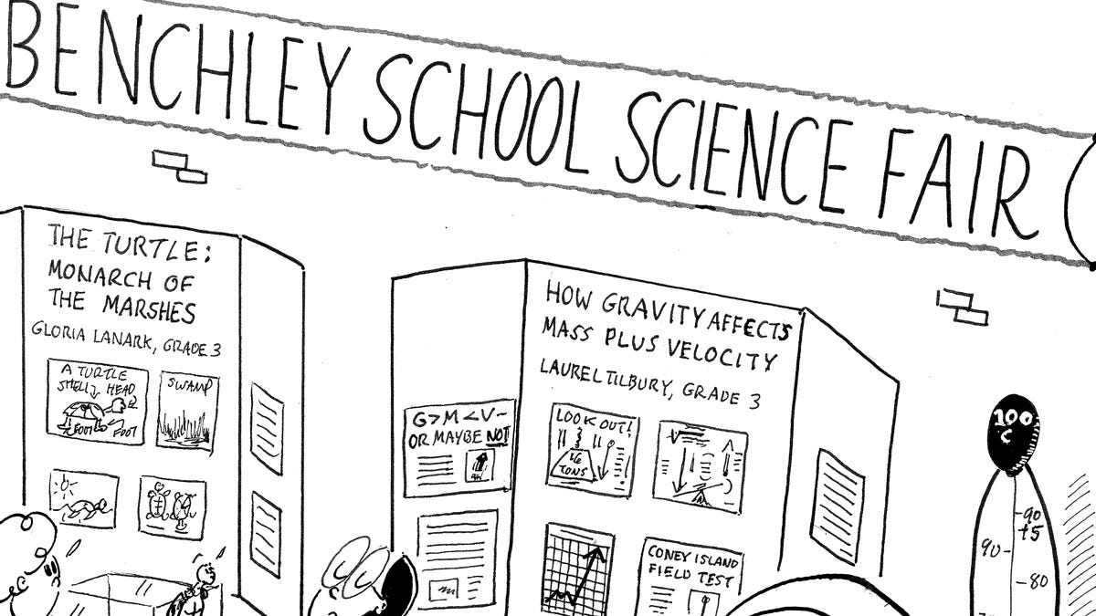 Laurel: Making a hit at the school science fair