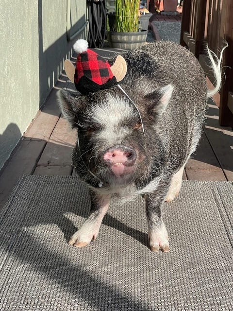 Sheldon wearing a hat