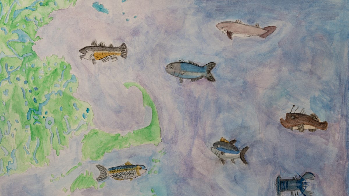 Art Meets Ocean Science for Our Sisters School, Woods Hole Collaboration