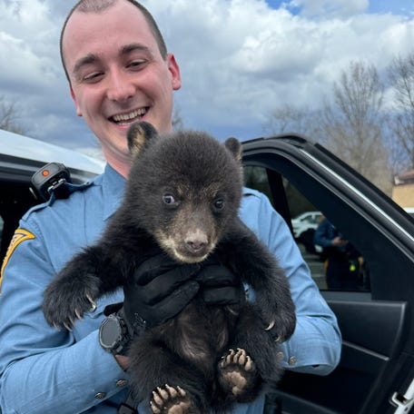 New Jersey police officers rescued a tiny bear cub that was abandoned in a roadside ditch.