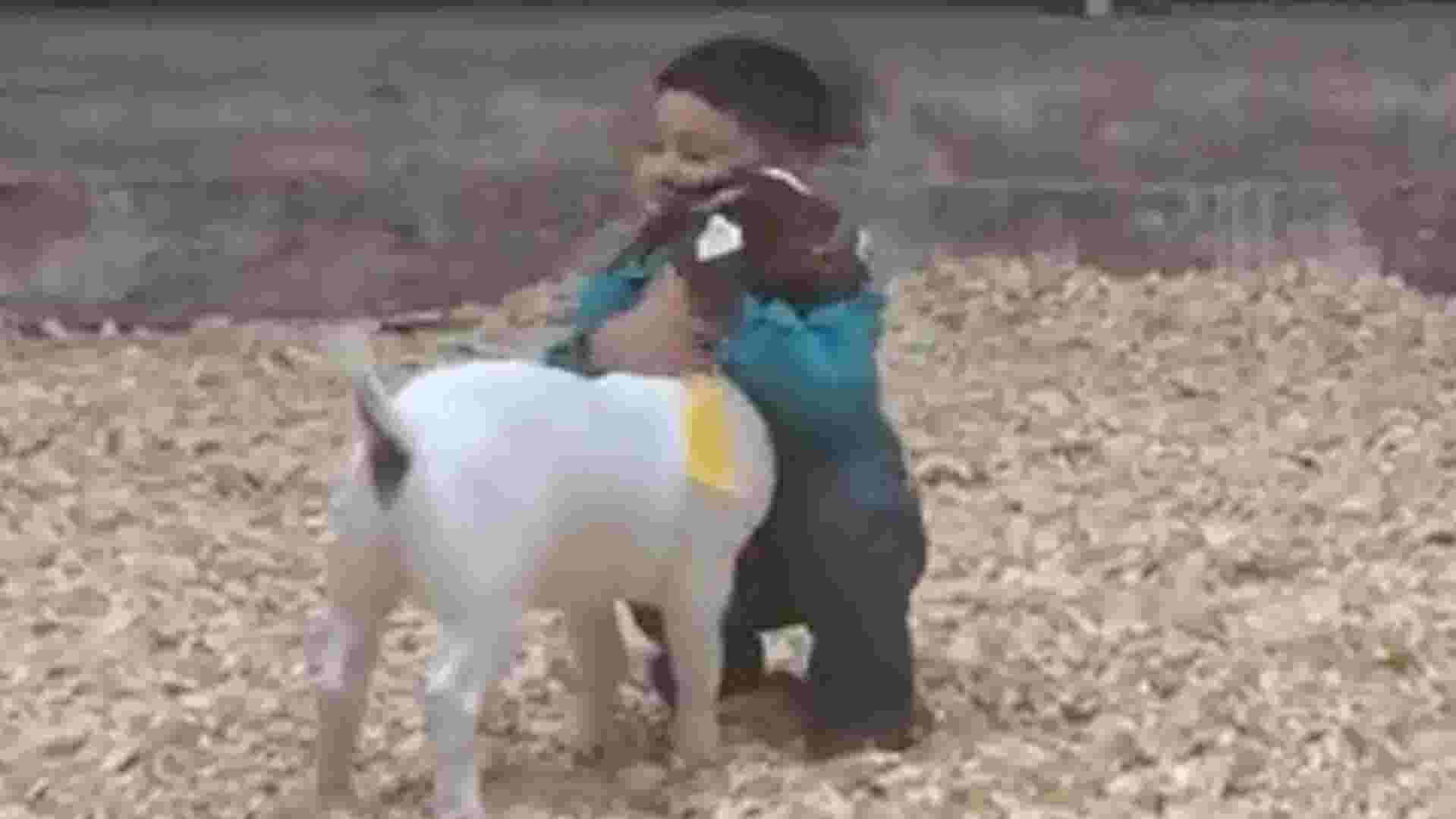 Celebrate National Pet Day by showing love to all kinds of unique pets