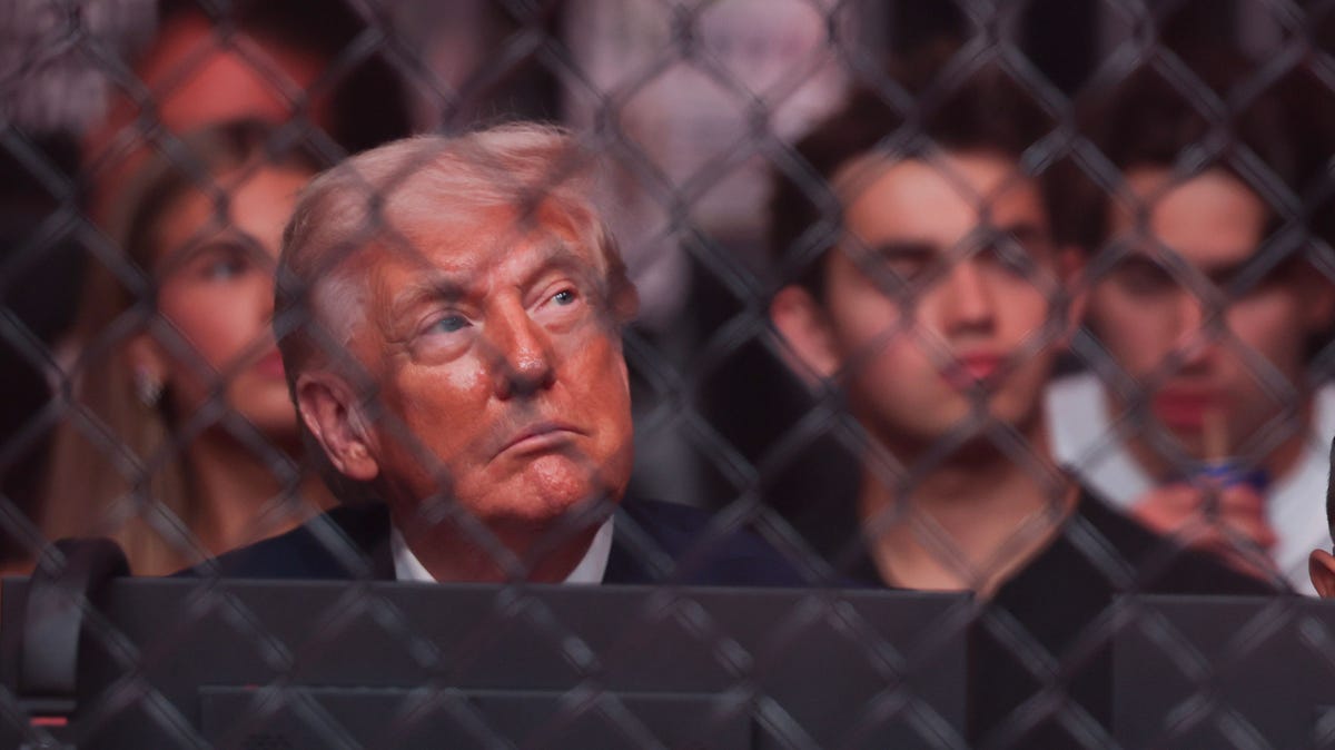 President Donald Trump attends a UFC light heavyweight fight on April 11, 2026, in Miami.