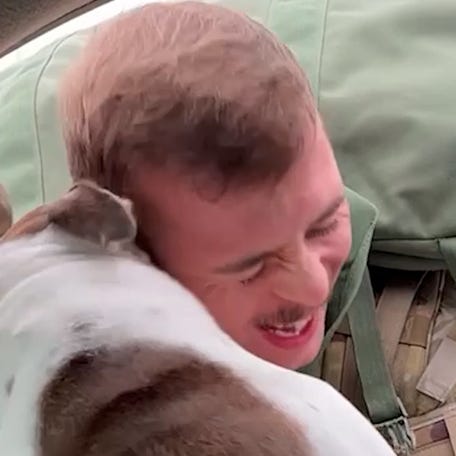 Army Specialist Trevor Ewing, 24, reunits with English bulldog 'Boomer' in a parking lot after returning home to Tulsa, OK from a month-long training.