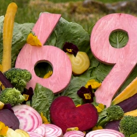 Oldest living gorilla turns 69 at Berlin Zoo thumb